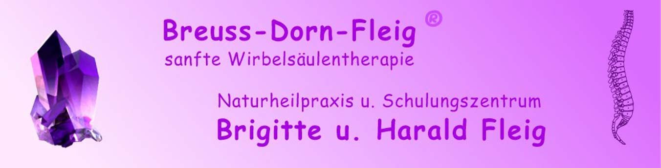 Naturheilpraxis Brigitte und Harald Fleig